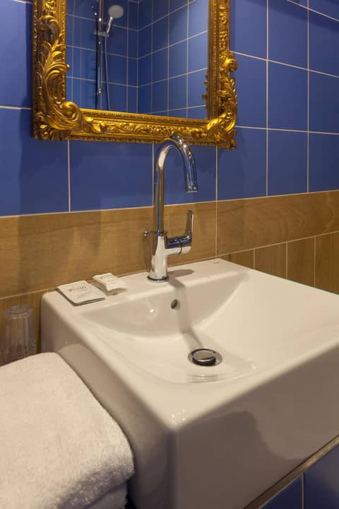 Hôtel Saint-Louis - Jardin du Luxembourg — photo 3