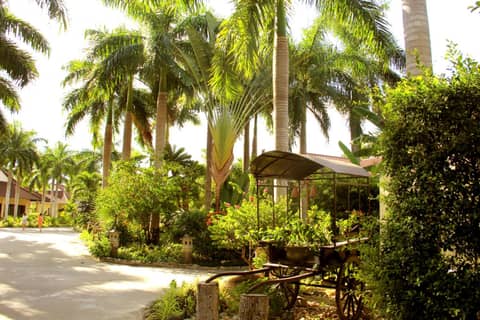 Diamond Bay Resort & Spa — photo 4