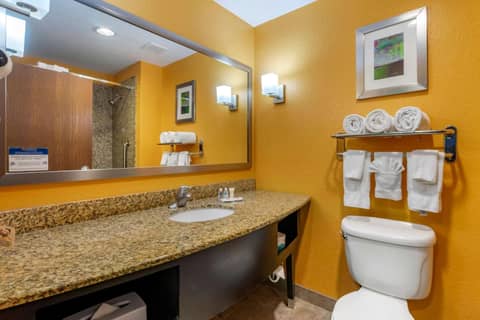Hampton Inn by Hilton Tampa Fairgrounds Casino — photo 4