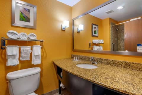 Hampton Inn by Hilton Tampa Fairgrounds Casino — photo 6