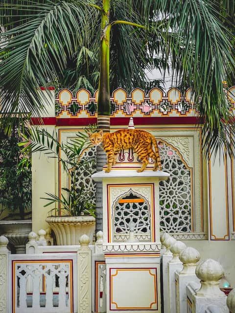 Krishna Palace - A Heritage Boutique Hotel — photo 6