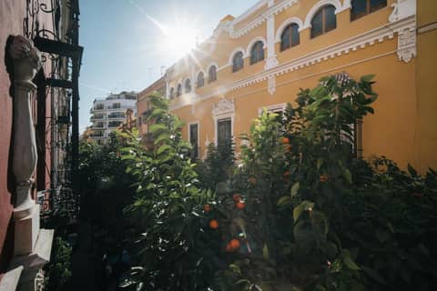 Apartamentos Abreu Suites — other