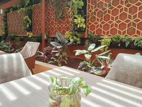 Hotel Lomas 10 Medellin — photo 6