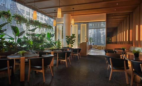 Pendry Manhattan West — photo 9