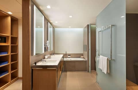 Andaz Delhi by Hyatt — bathroom