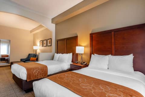 Comfort Suites Downtown — photo 3