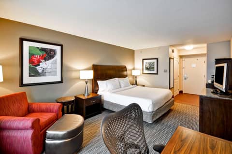 Hilton Garden Inn Tampa North — photo 8