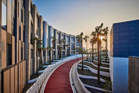 Shilla Stay Plus Iho Tewoo Ocean Front — photo 4