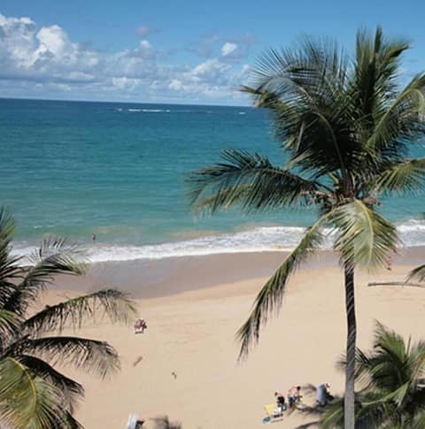 The Tryst Beachfront Hotel — photo 6