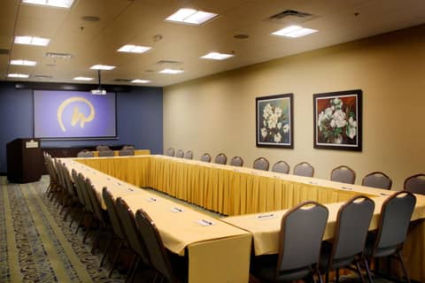 Rosen Inn at Pointe Orlando — photo 8