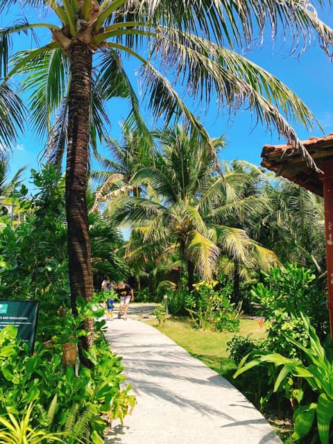Thanh Kieu Beach Resort — photo 3