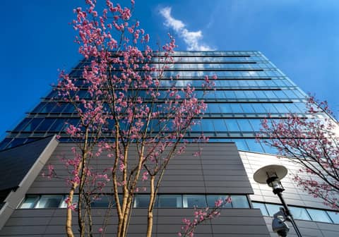 Daiwa Roynet Hotel Hiroshima-ekimae — photo 4