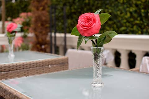 Pembridge Palace Hotel — outdoor bbq area