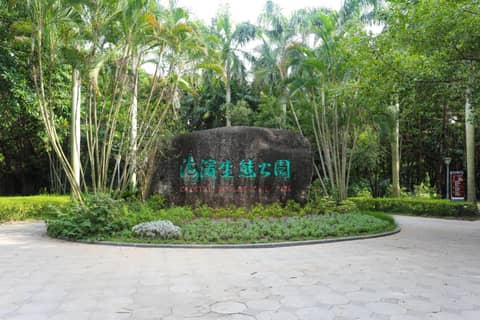 Shenzhenair International Hotel — photo 5