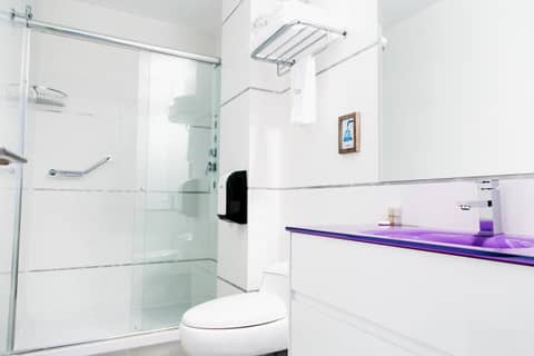 Apart Hotel Petit Palace Suites — bathroom
