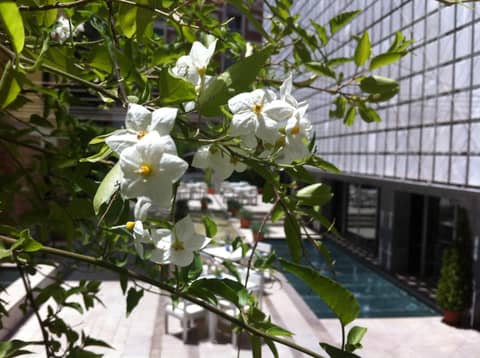 Hospes Palacio de los Patos, a Member of Design Hotels — photo 6