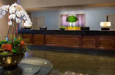 The Paramount Hotel — photo 3