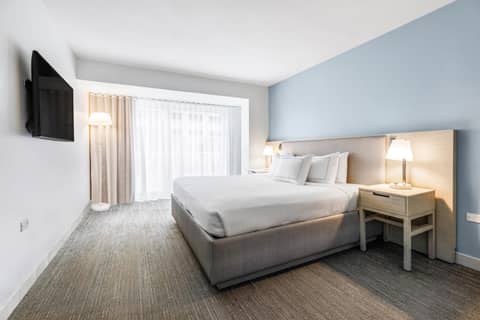 Condado Palm Inn San Juan Tapestry Collection by Hilton — photo 8