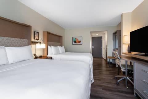 Holiday Inn - Tampa North by IHG — photo 3