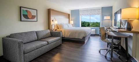Holiday Inn - Tampa North by IHG — photo 6