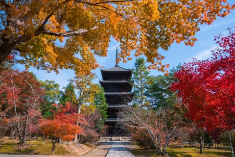 Hotel Grand Bach Kyoto Select — photo 5