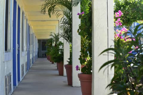 Americas Best Value Inn Bradenton-Sarasota — photo 2