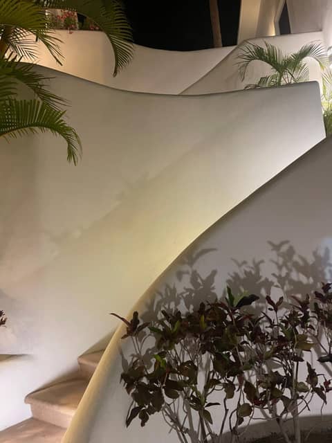 Ocean View Cabo Condo Create Memories!! — photo 5