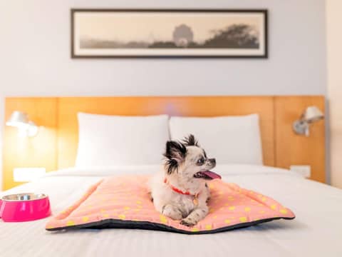 ibis Bengaluru Hosur Road - An Accor Brand — photo 3