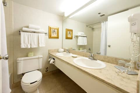 Toronto Don Valley Hotel and Suites — bathroom