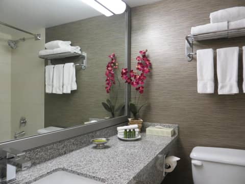Toronto Don Valley Hotel and Suites — bathroom