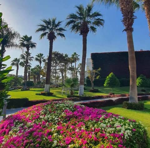 Monte Carlo Sharm Resort & Spa — photo 4