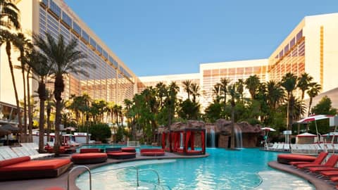 Flamingo Las Vegas Hotel & Casino — photo 8