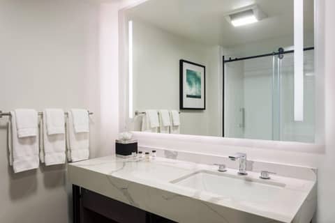 Portland Sheraton at Sable Oaks — photo 6