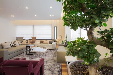 Hotel Politeama — lounge