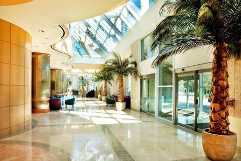 Sheraton Myrtle Beach — photo 8