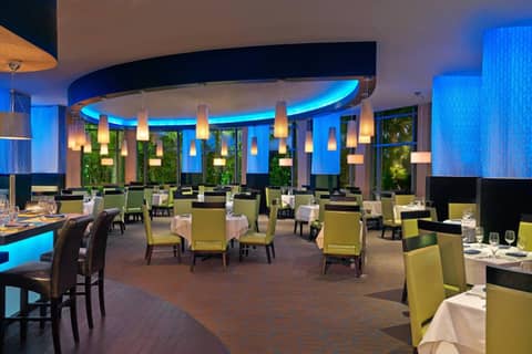 The Westin Tampa Bay — photo 3