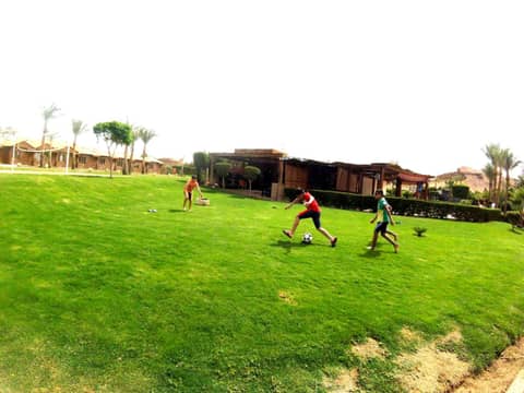 Xperience Golden Sandy Beach- Adults Only — photo 4