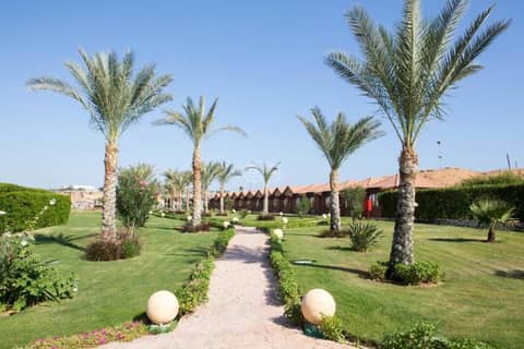 Xperience Golden Sandy Beach- Adults Only — photo 8