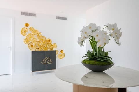 LOTUS RESORT — photo 8
