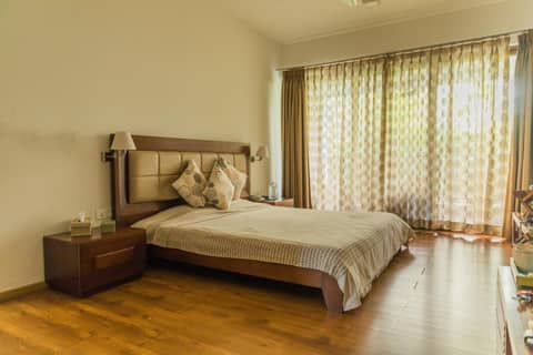 Frangipani Villa — photo 4