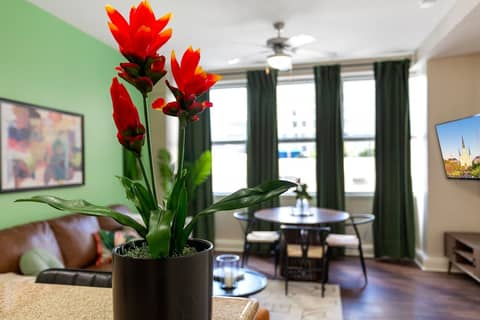 Spacious Modern Condos near French Quarter — photo 3