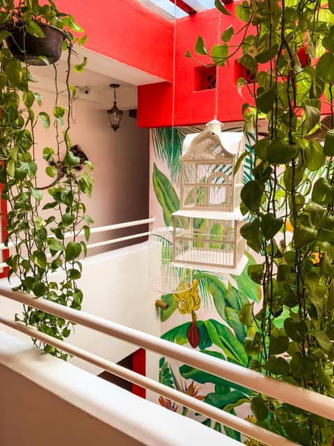 La Iguana Vallarta LGBT ADULTS ONLY - Romantic Zone - Party Clubbing Street — photo 6