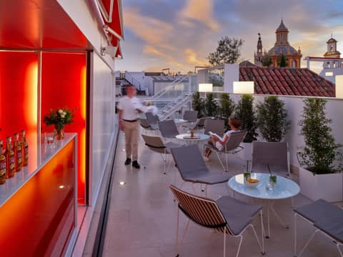 Hotel Rey Alfonso X — roof