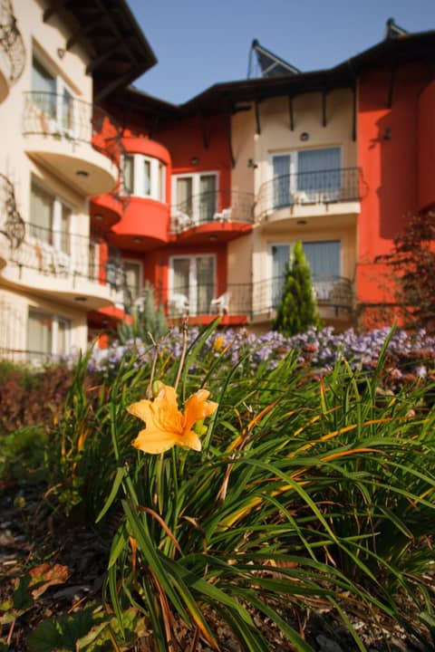 Szőnyi Garden Hotel Pest — photo 4
