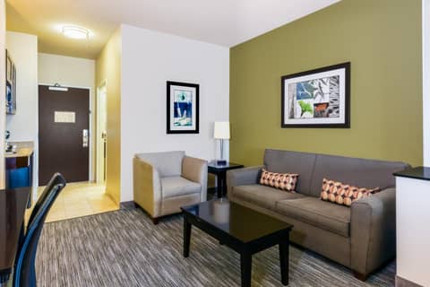 Holiday Inn Express Hotel & Suites Dallas West by IHG — photo 8