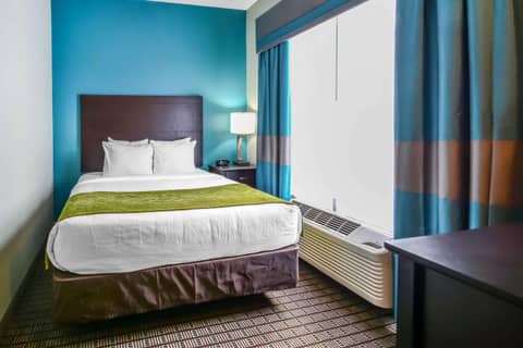 Comfort Suites Tampa - Brandon — photo 3