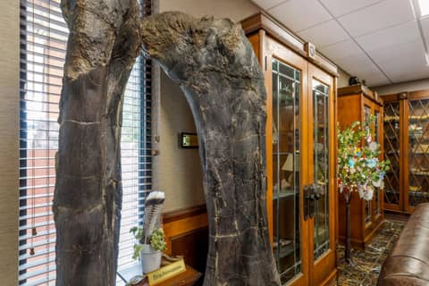 Best Western Denver Southwest — photo 5