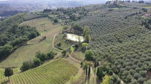 Fattoria Il Milione Agriturismo — photo 4