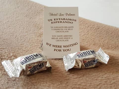 Hotel Las Palmas — other