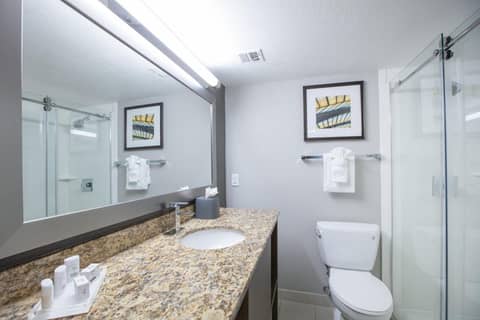 Holiday Inn St Louis SW - Route 66 by IHG — photo 4